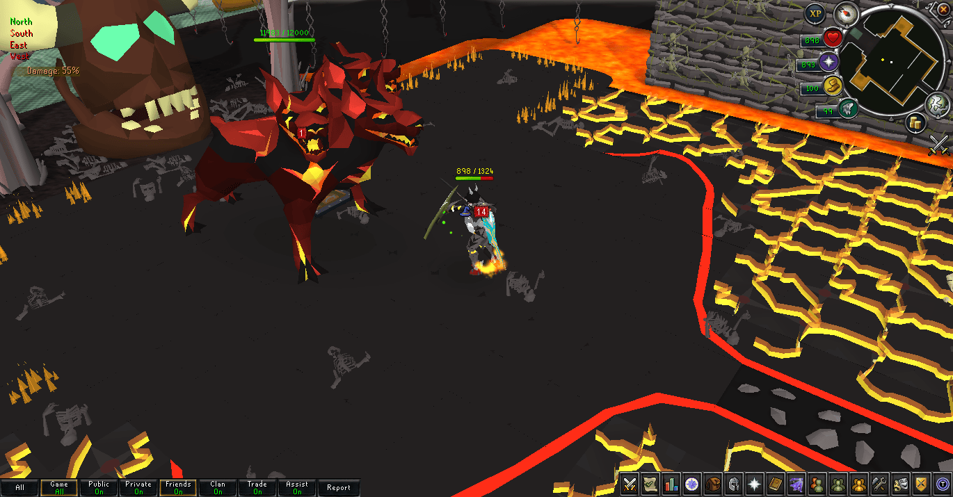 Ely | #1 718 w/ Raids, RuneLite & More!