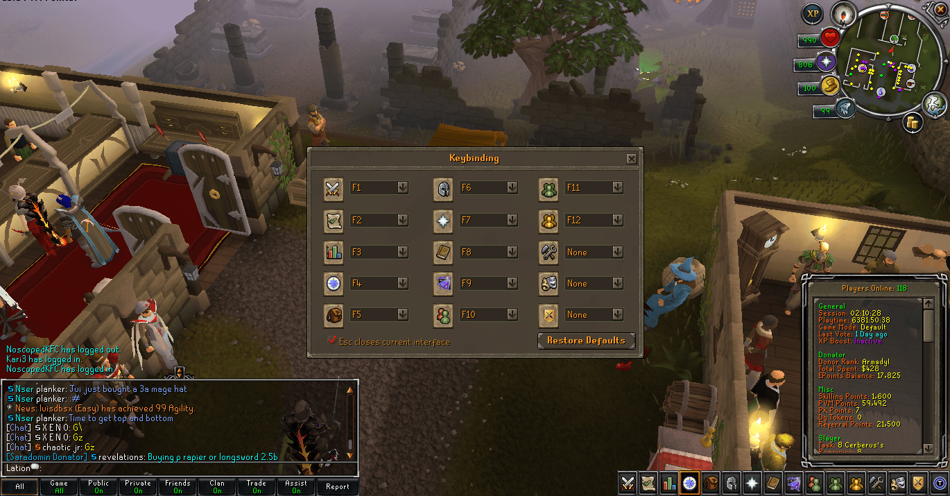 Ely | #1 718 w/ Raids, RuneLite & More!