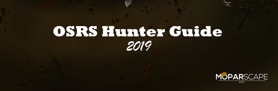 OSRS Hunter Guide